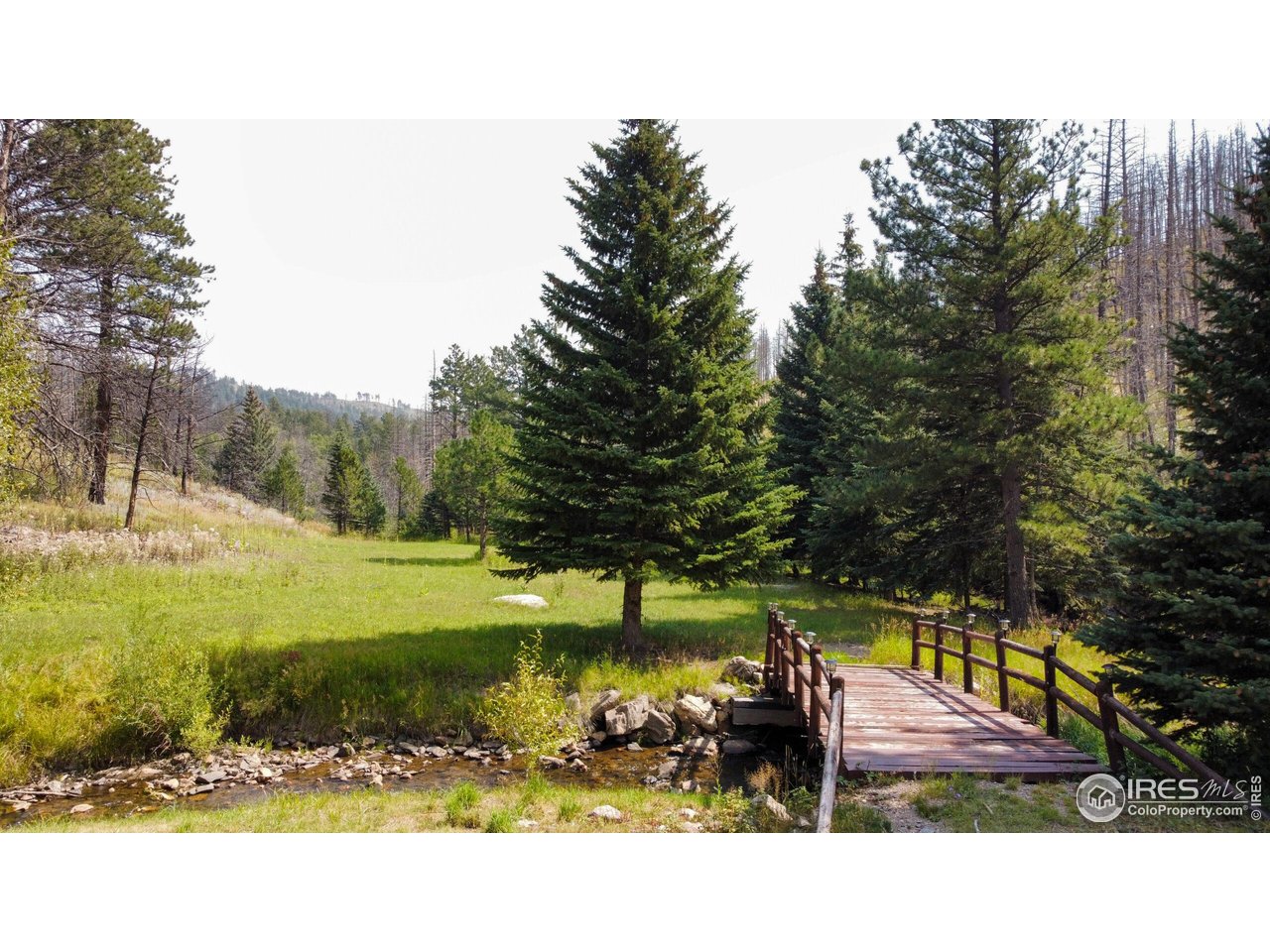 27667 Buckhorn Road Bellvue, CO 80512 - Photo 26 of 40 a view of a park with large trees