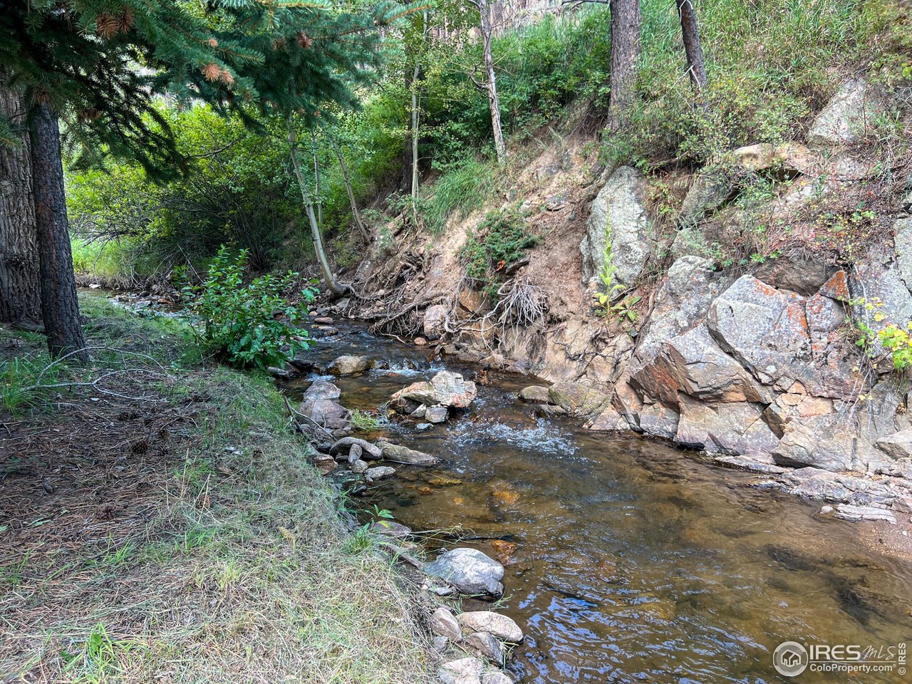 27667 Buckhorn Road Bellvue, CO 80512 - Photo 30 of 40 a view of a forest with trees