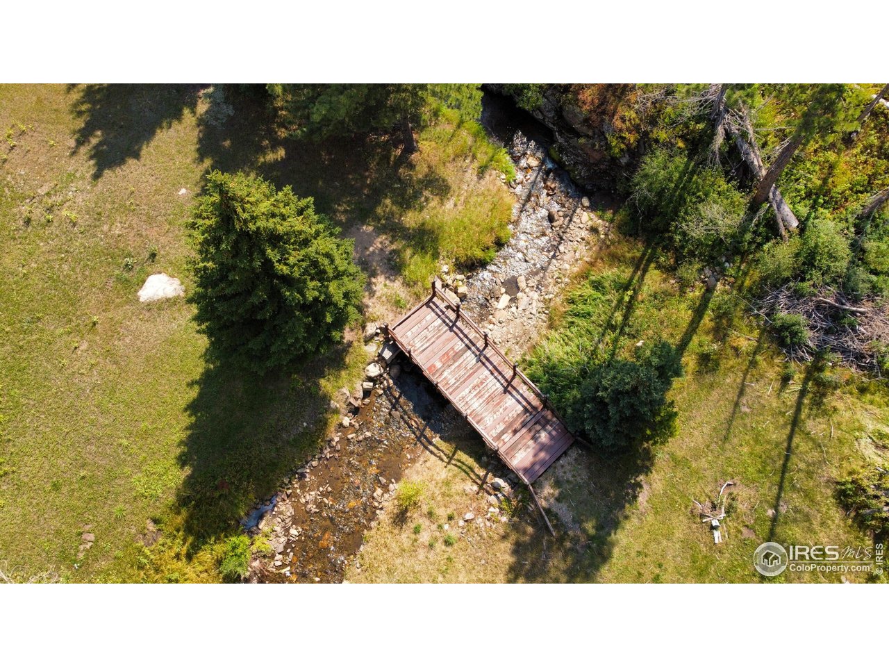 27667 Buckhorn Road Bellvue, CO 80512 - Photo 38 of 40 a black and white photo of a lake