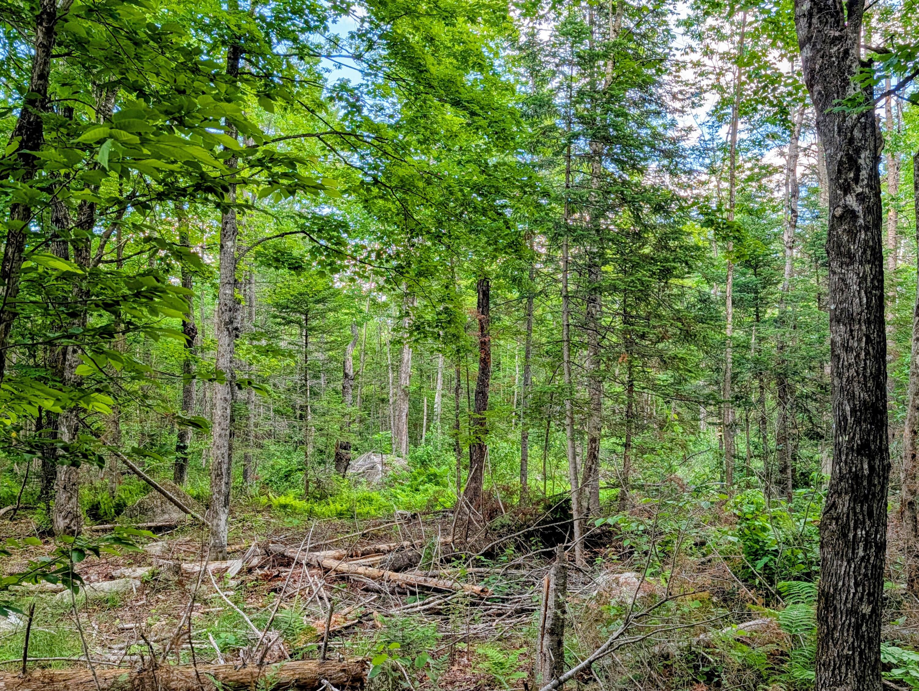 147 Calvin Gray Road Madrid Township, ME 04966 - Photo 66 of 68 147 Calvin Gray Road