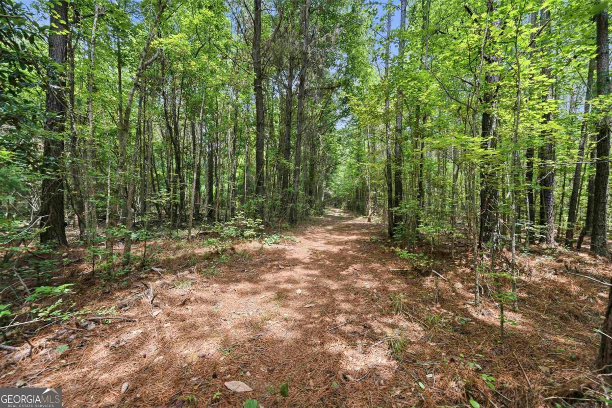 0 Pear Orchard Road Greensboro, GA 30642 - Photo 3 of 34