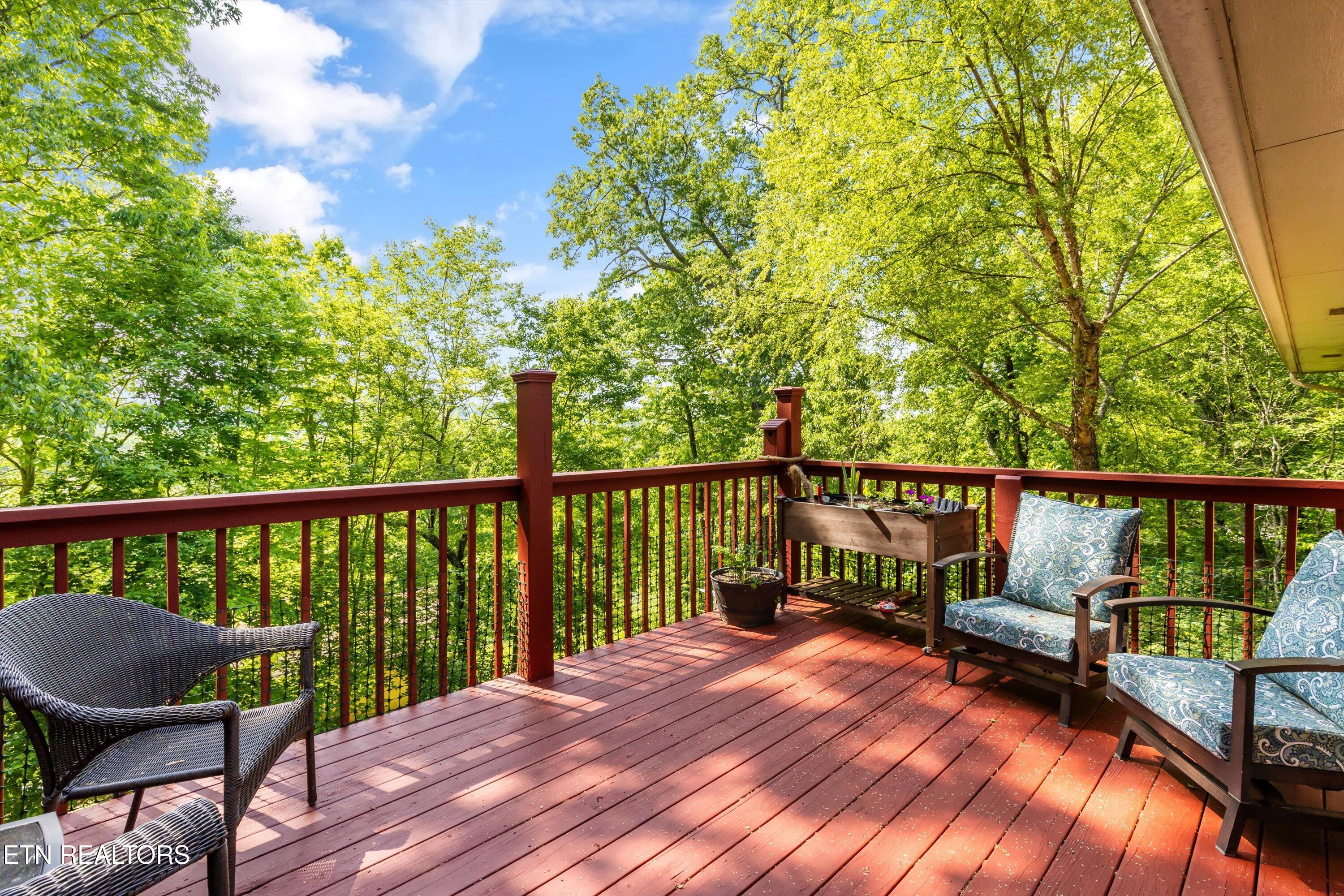 912 Lester Road Knoxville, TN 37920 - Photo 23 of 45 23-912 Lester Rd27