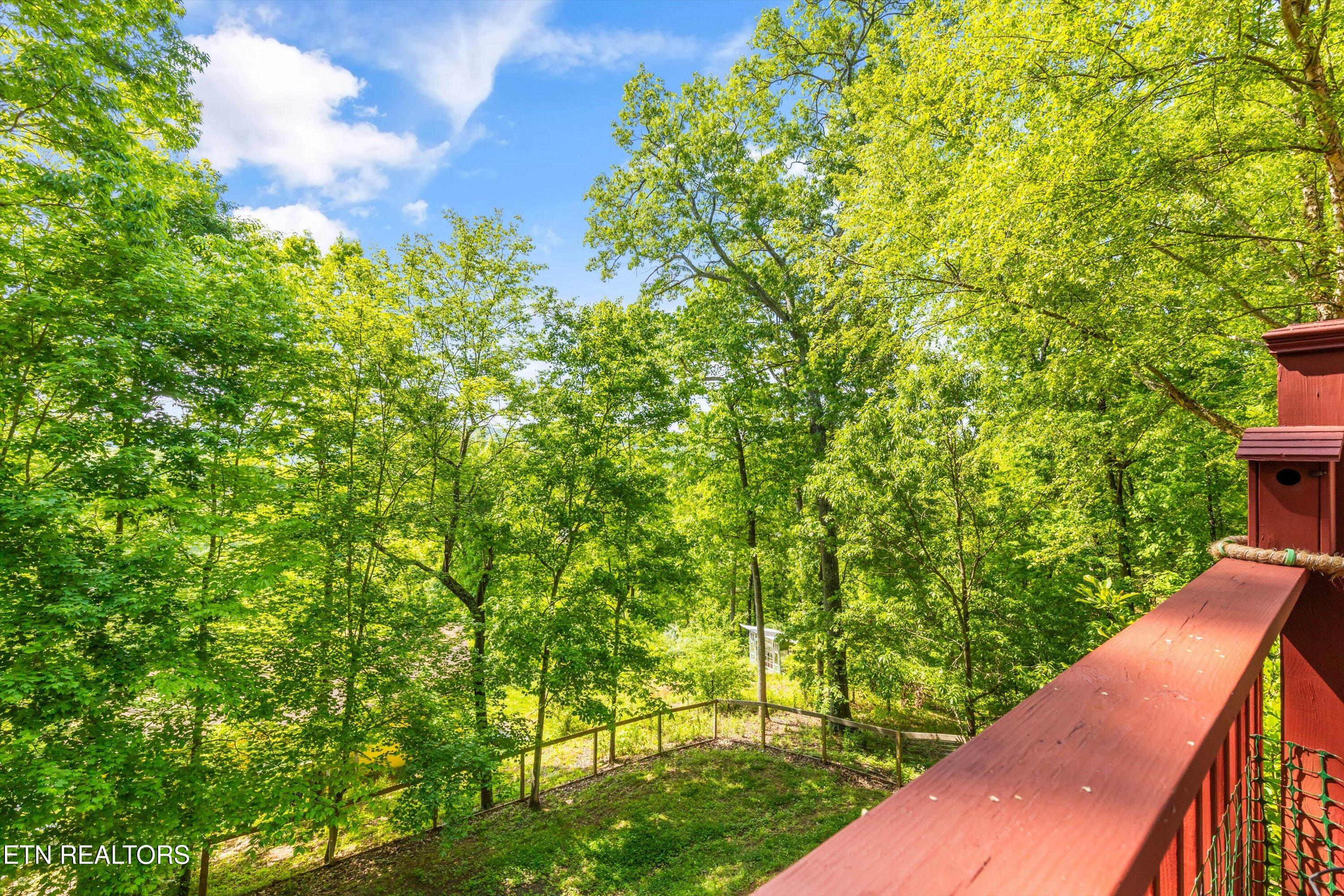 912 Lester Road Knoxville, TN 37920 - Photo 24 of 45 24-912 Lester Rd28