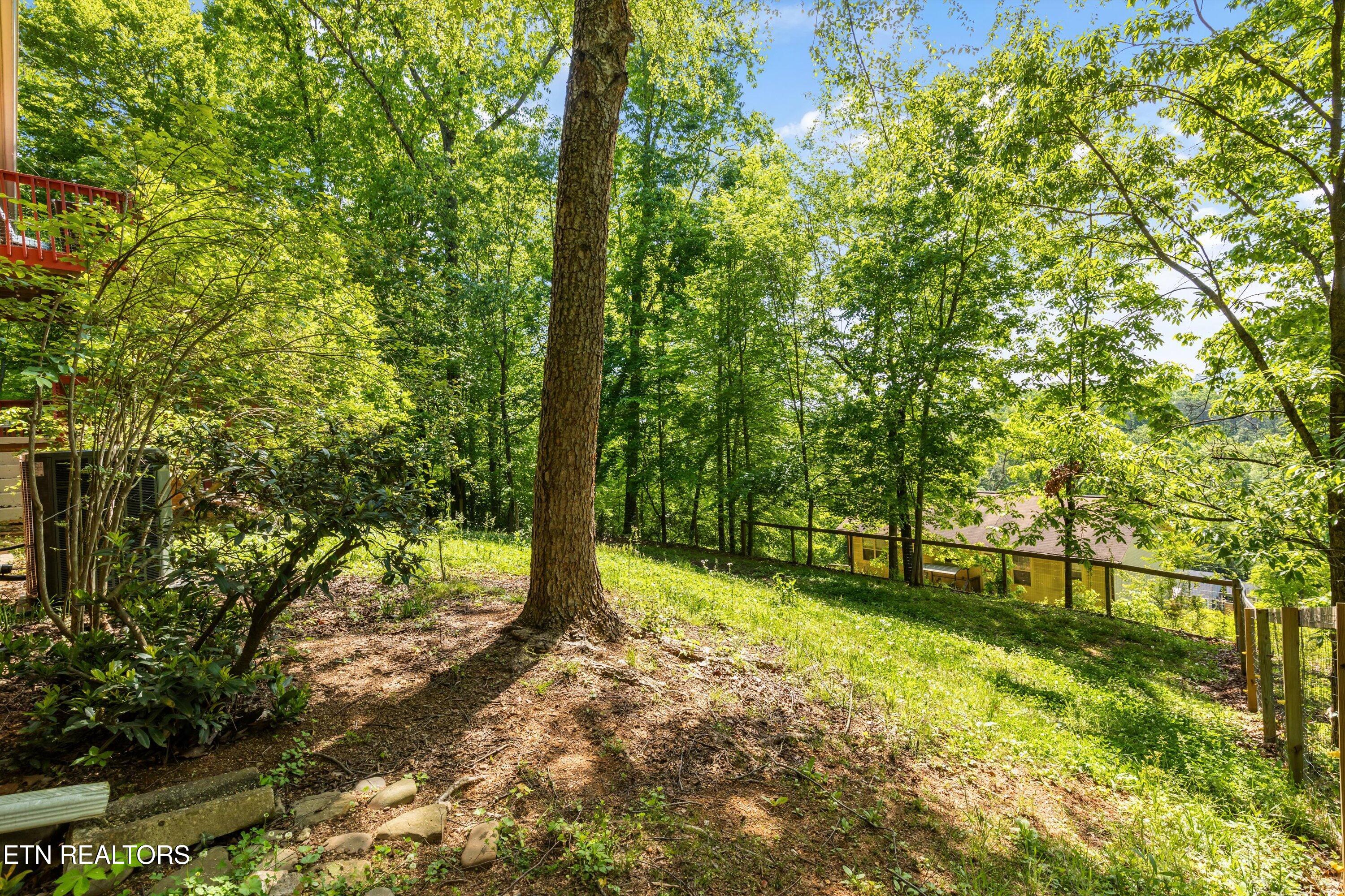 912 Lester Road Knoxville, TN 37920 - Photo 38 of 45 38-912 Lester Rd39