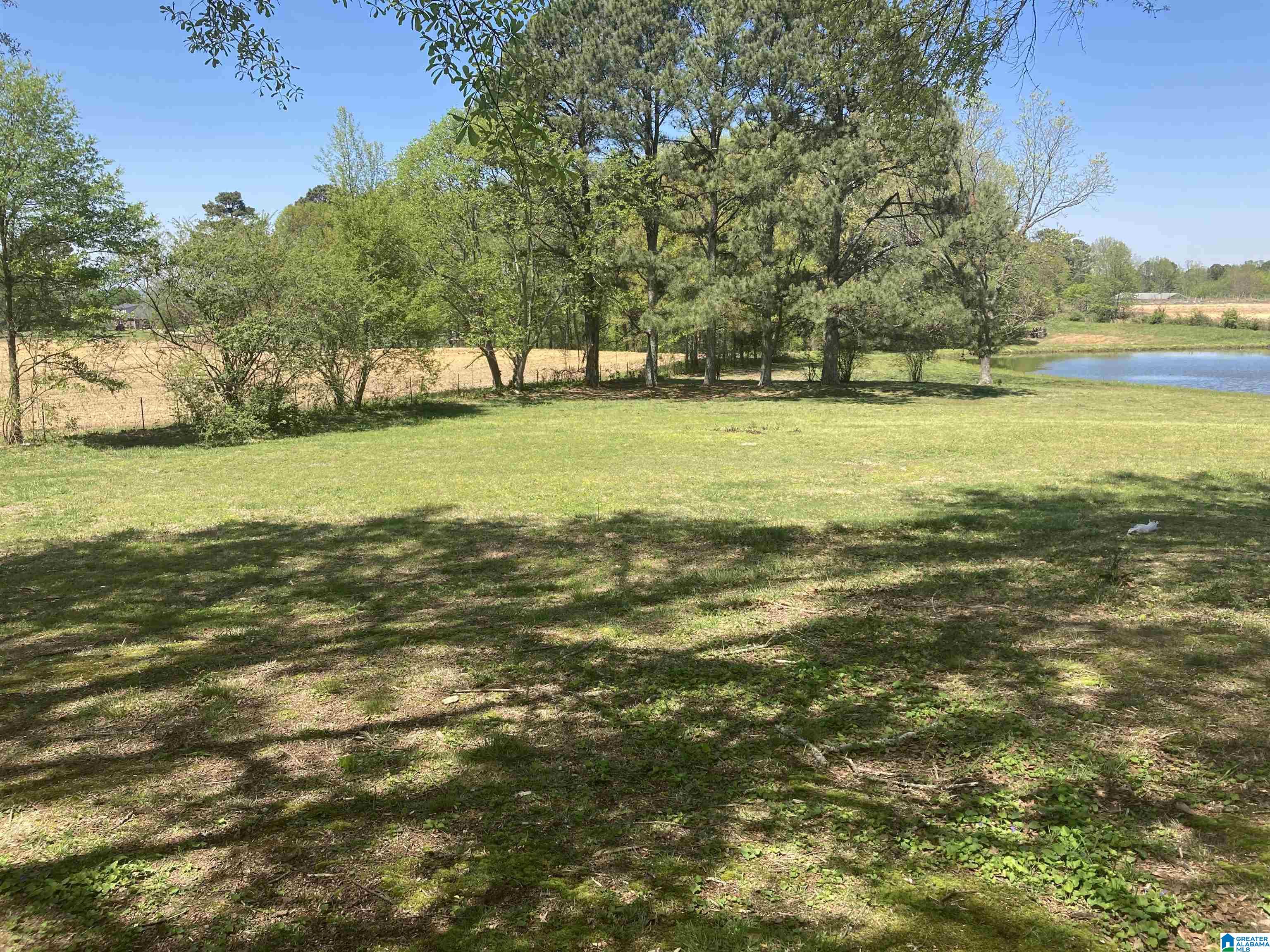 3521 County Road 12 Oneonta, AL 35121 - Photo 17 of 17