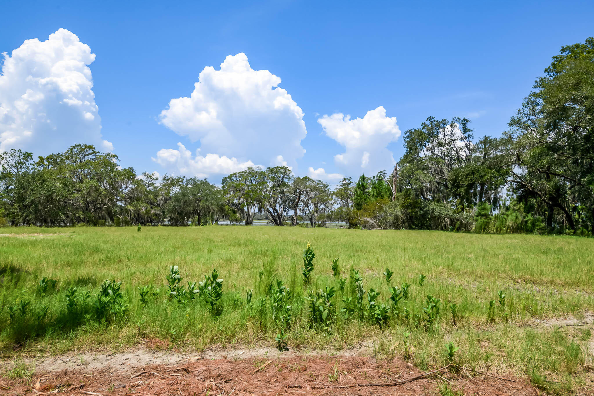6258 Josie Ridge Road Wadmalaw Island, SC 29487 - Photo 30 of 43 HFL_6258 JOSIE RIDGE-28