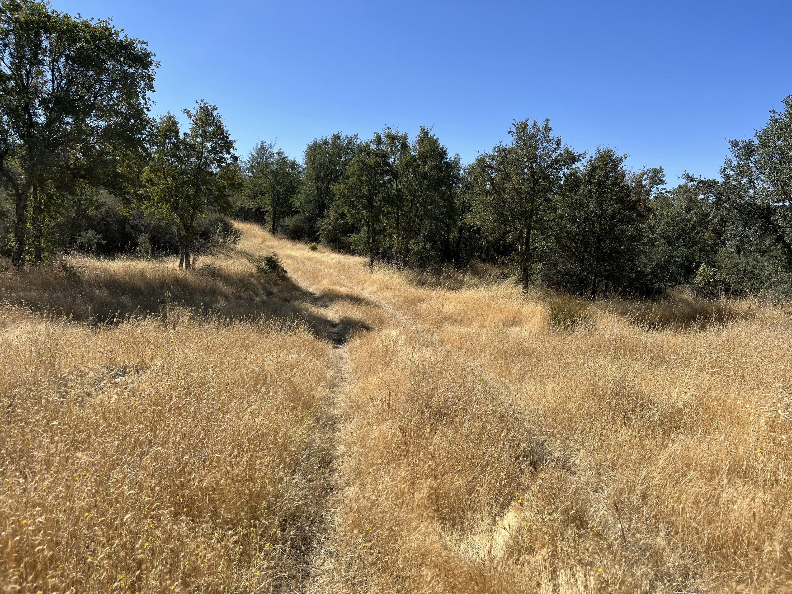 0 Terry Mill Road Round Mountain, CA 96084 - Photo 6 of 16 IMG_4578