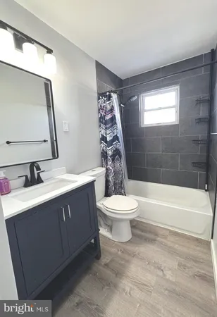 a bathroom with a sink a toilet and a bathtub