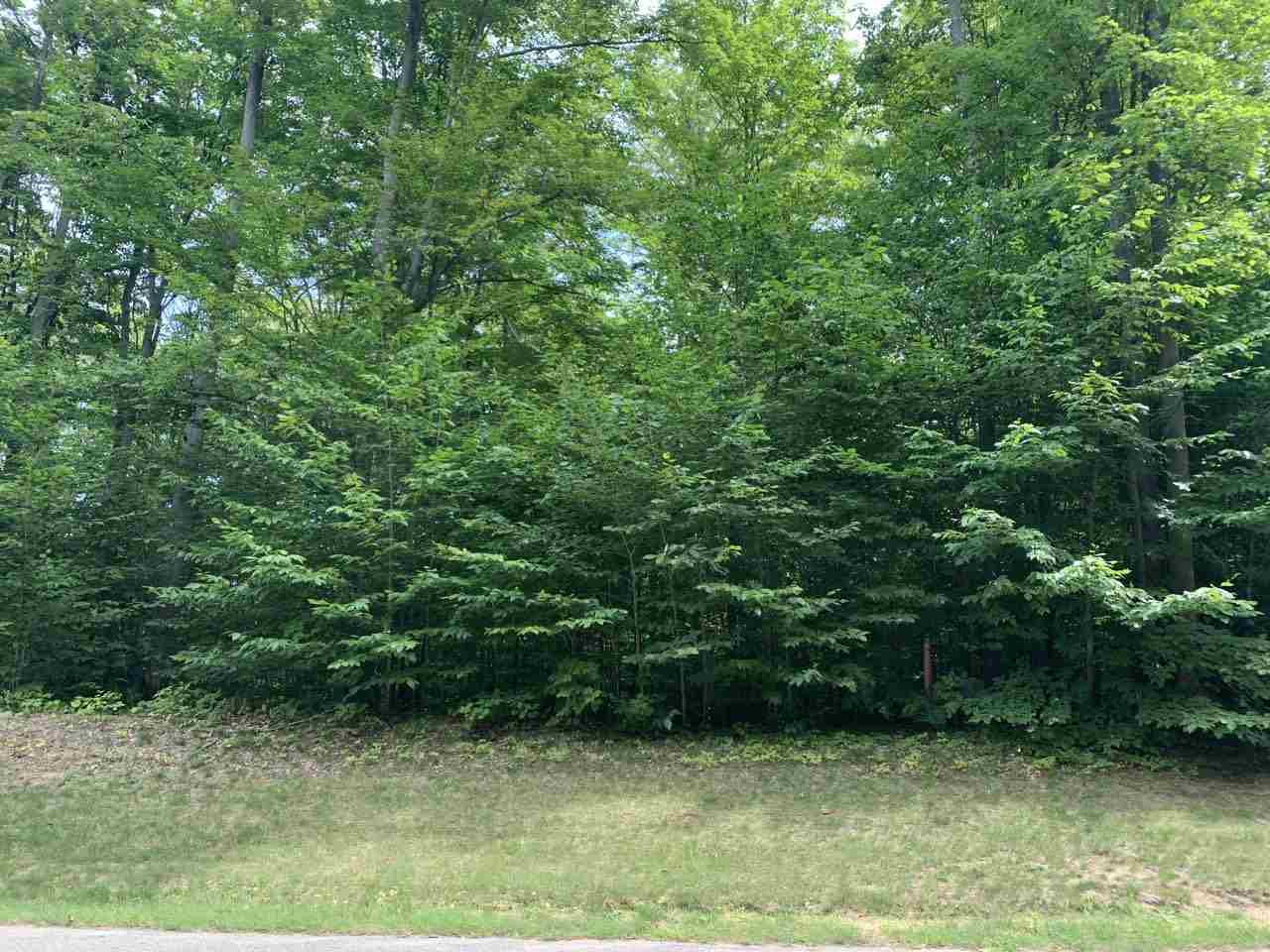 157 Falcons Rest, Unit LOT: 157 Bellaire, MI 49615 - Photo 8 of 36