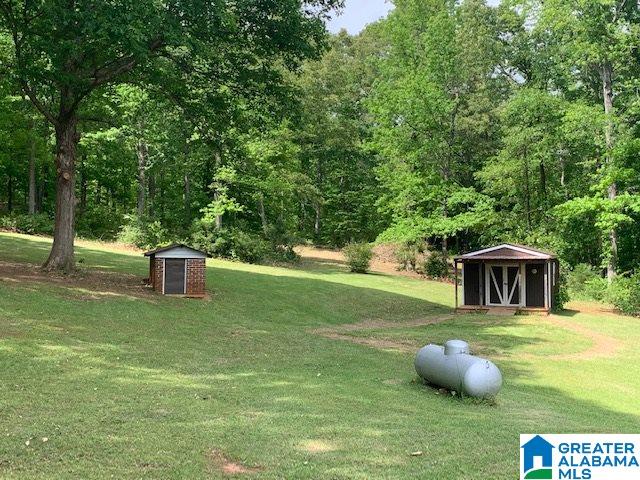 1461 Old Rocky Ridge Road Jacksonville, AL 36265 - Photo 38 of 44