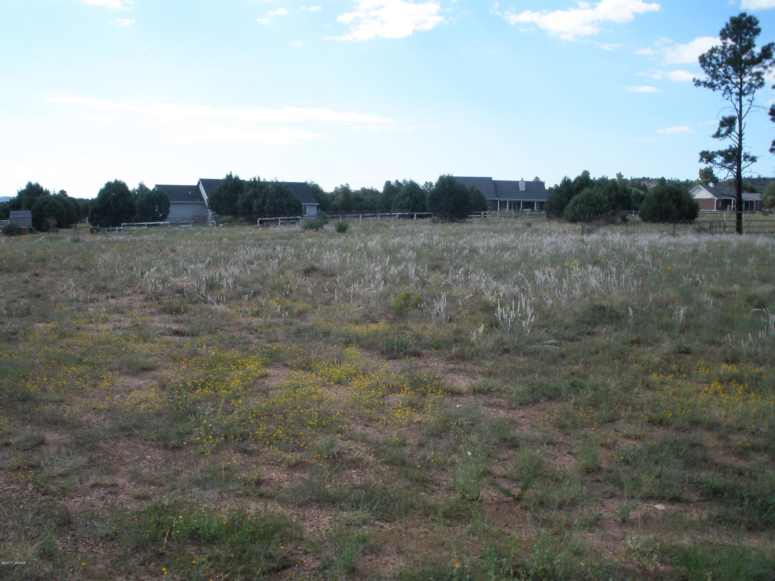 5318 Alexis Place Show Low, AZ 85901 - Photo 22 of 22