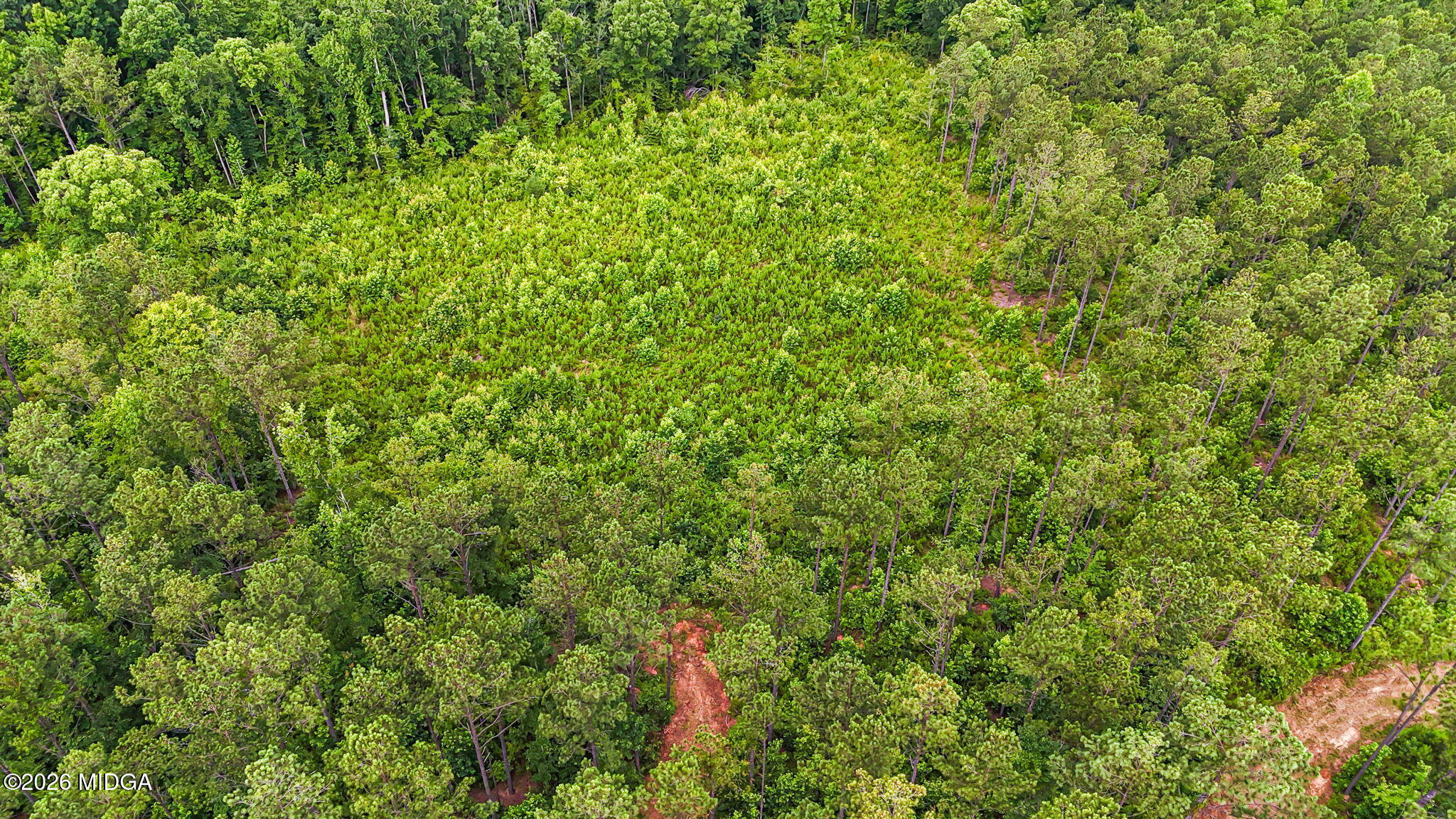 0 Howard Road Roberta, GA 31078 - Photo 5 of 14 a view of a lush green field