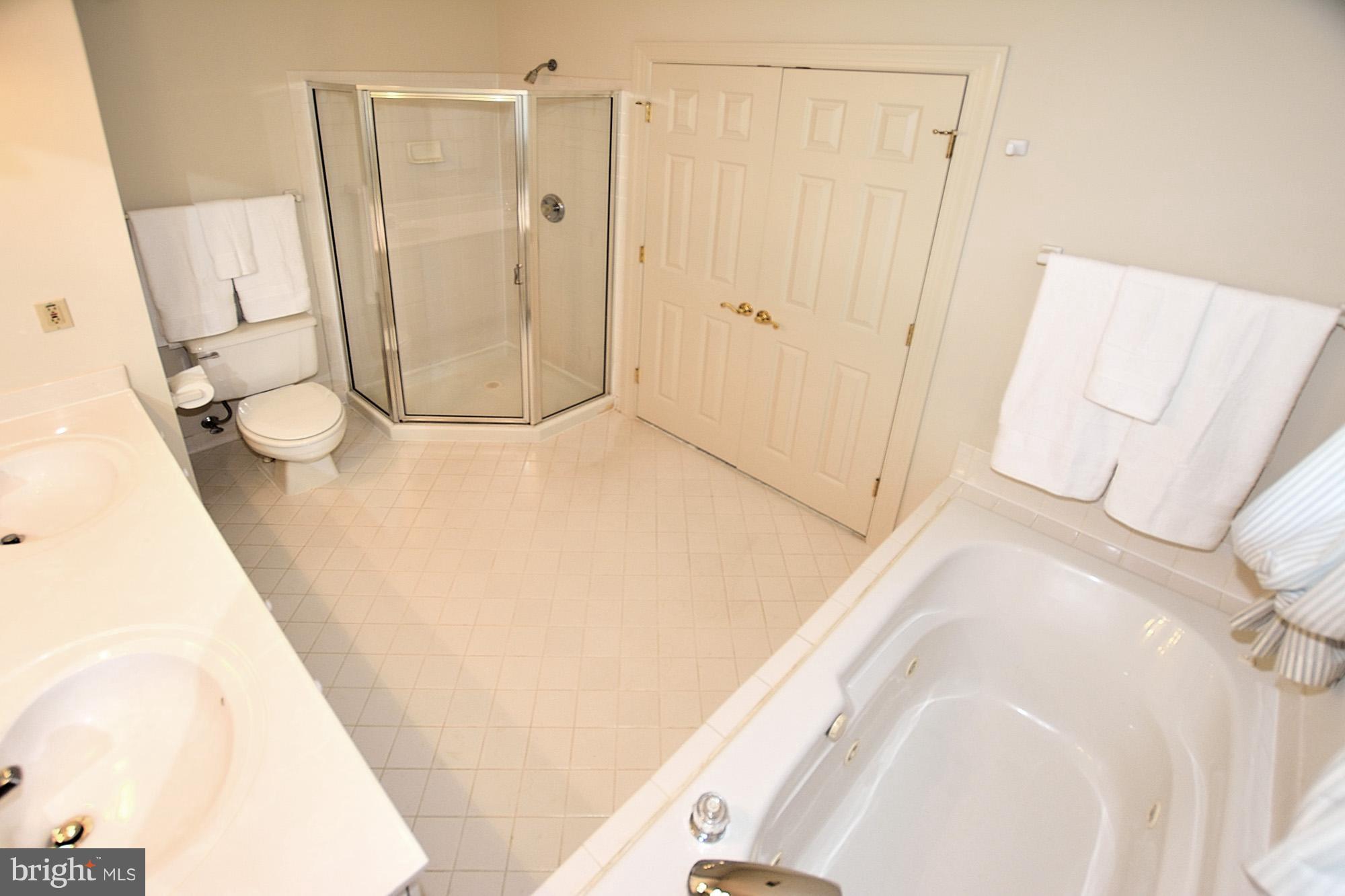 3623 Ransom Place Alexandria, VA 22306 - Photo 18 of 30 Bath (Master)