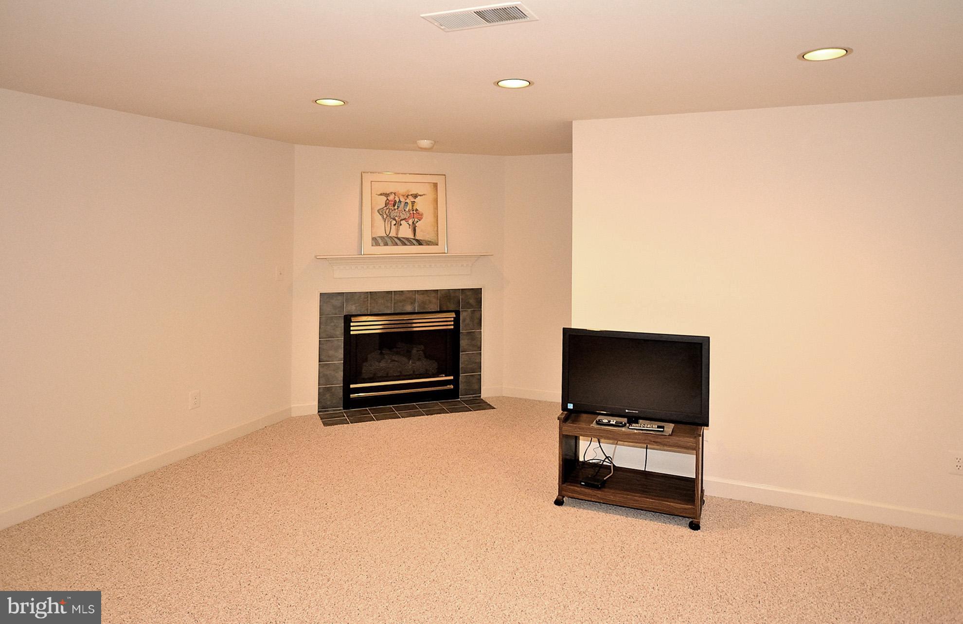 3623 Ransom Place Alexandria, VA 22306 - Photo 23 of 30 Basement