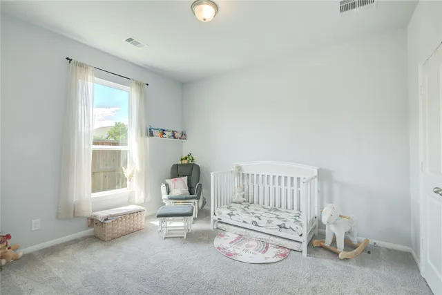 a bedroom with furniture and a window
