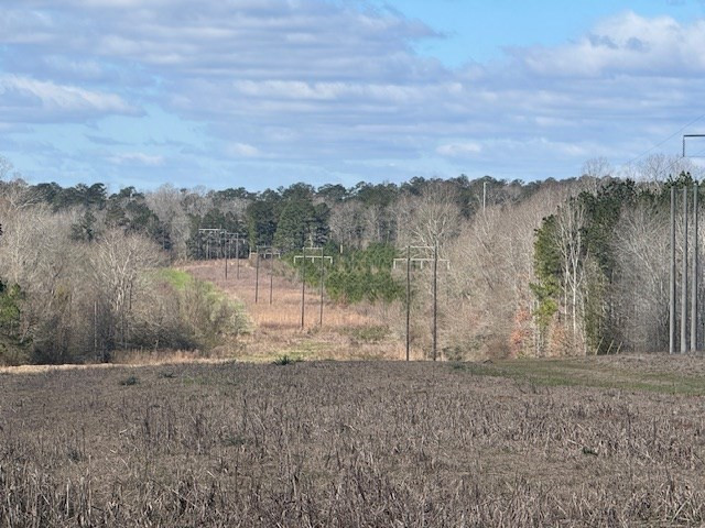 1111 Mt Olive Road Southeast Bogue Chitto, MS 39629 - Photo 11 of 13 Photo 11