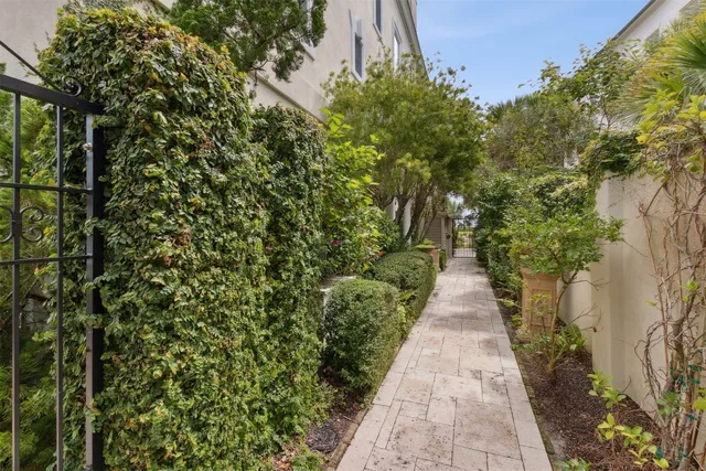 a view of a flower in a garden