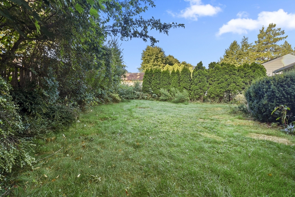 79 Ravenswood Road Waltham, MA 02453 - Photo 31 of 35 Gallery Image 31