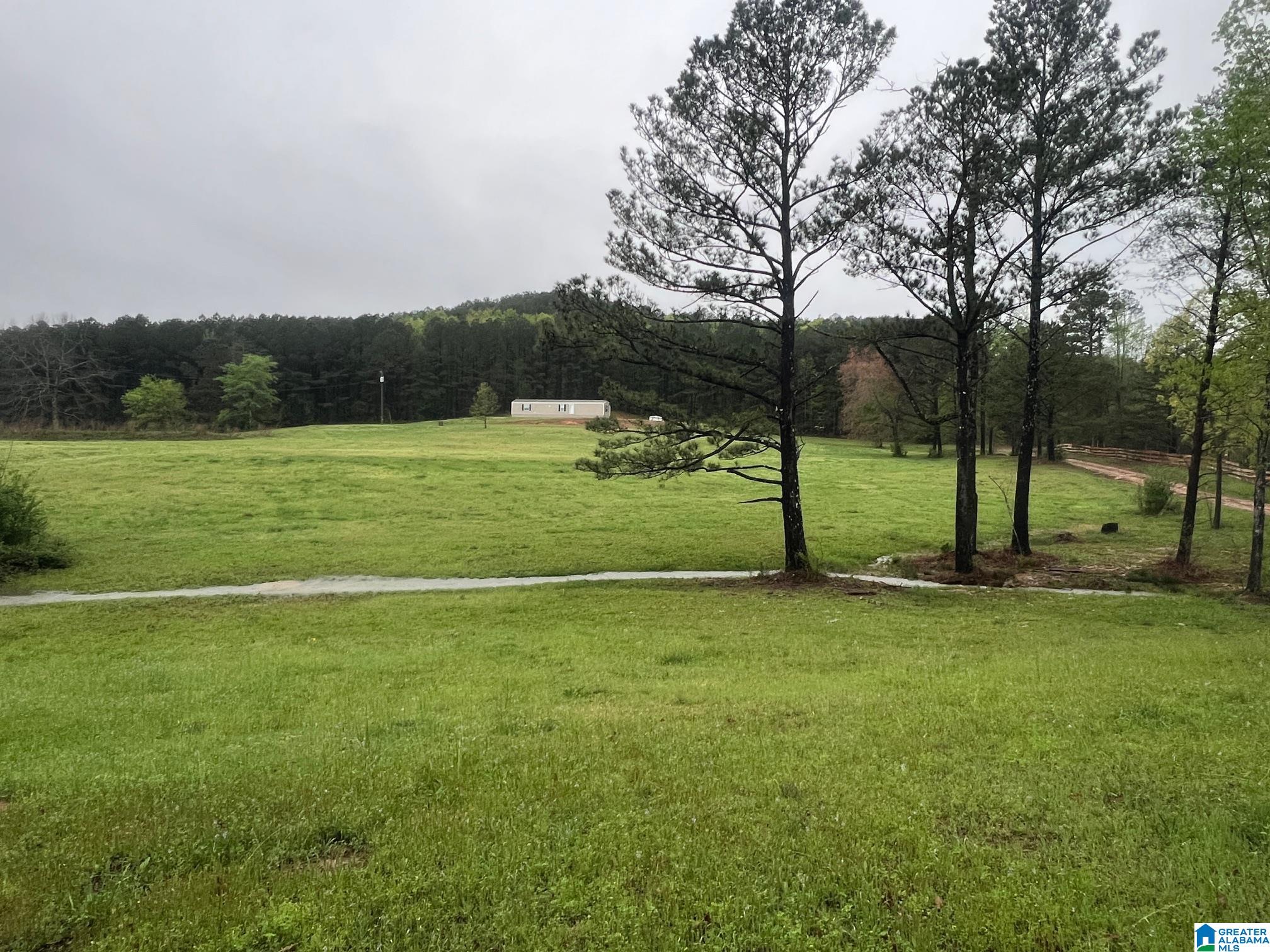 11970 Lost Road Berry, AL 35546 - Photo 32 of 32