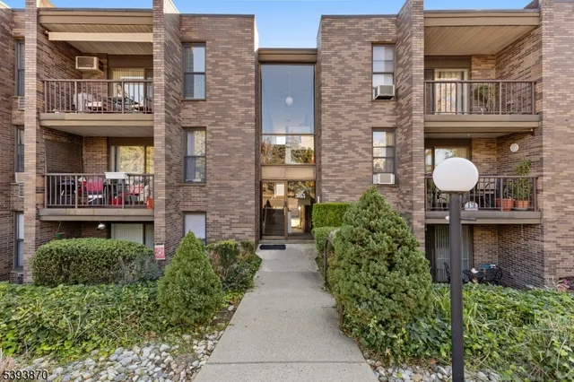 a potted plant in front of a building