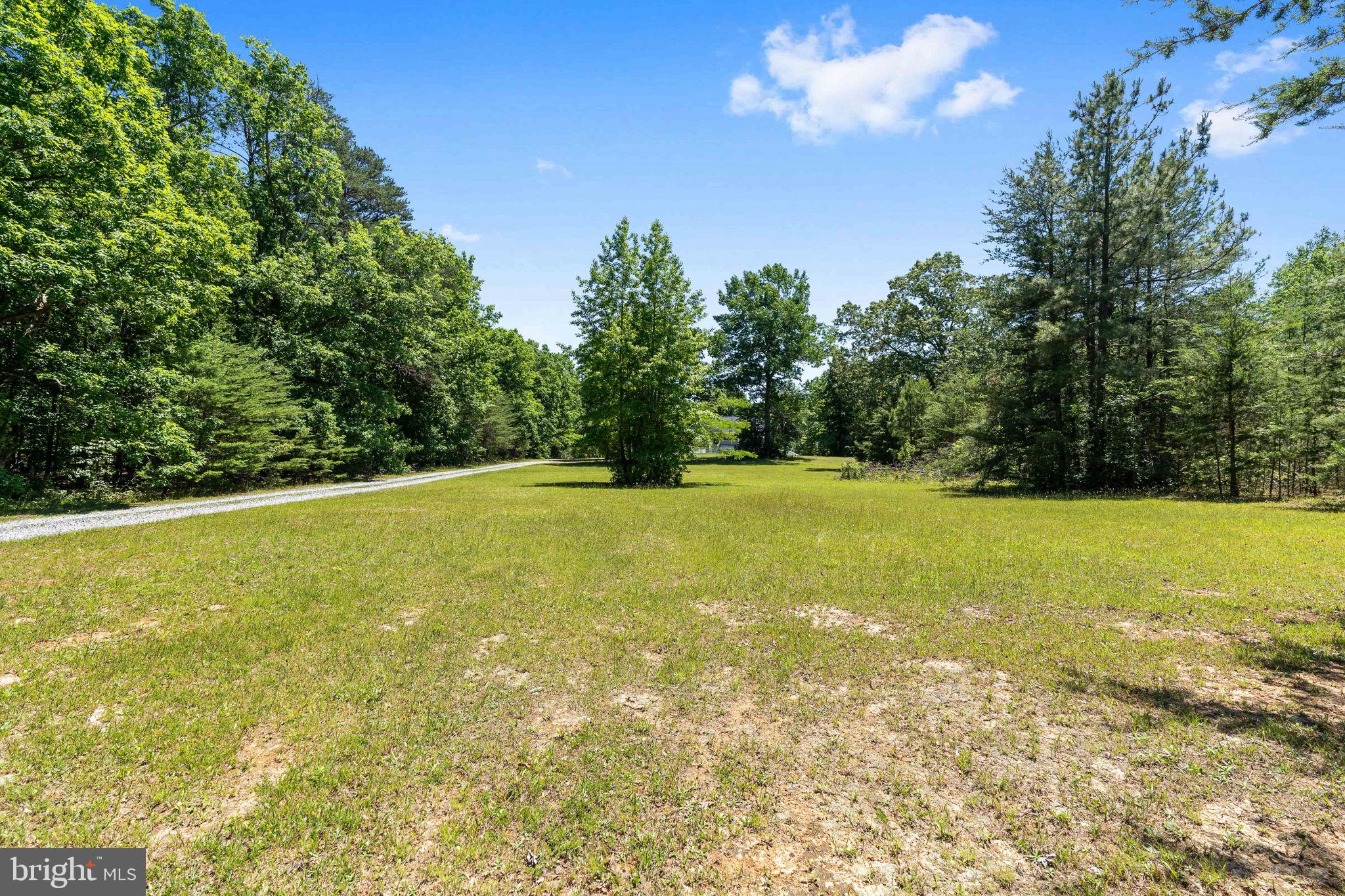 8009 Burrell Road Fredericksburg, VA 22407 - Photo 60 of 66 Serene green landscape awaits you.