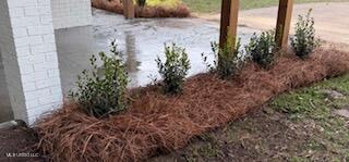 117 Richland Street Richland, MS 39218 - Photo 23 of 27 IMG_7444