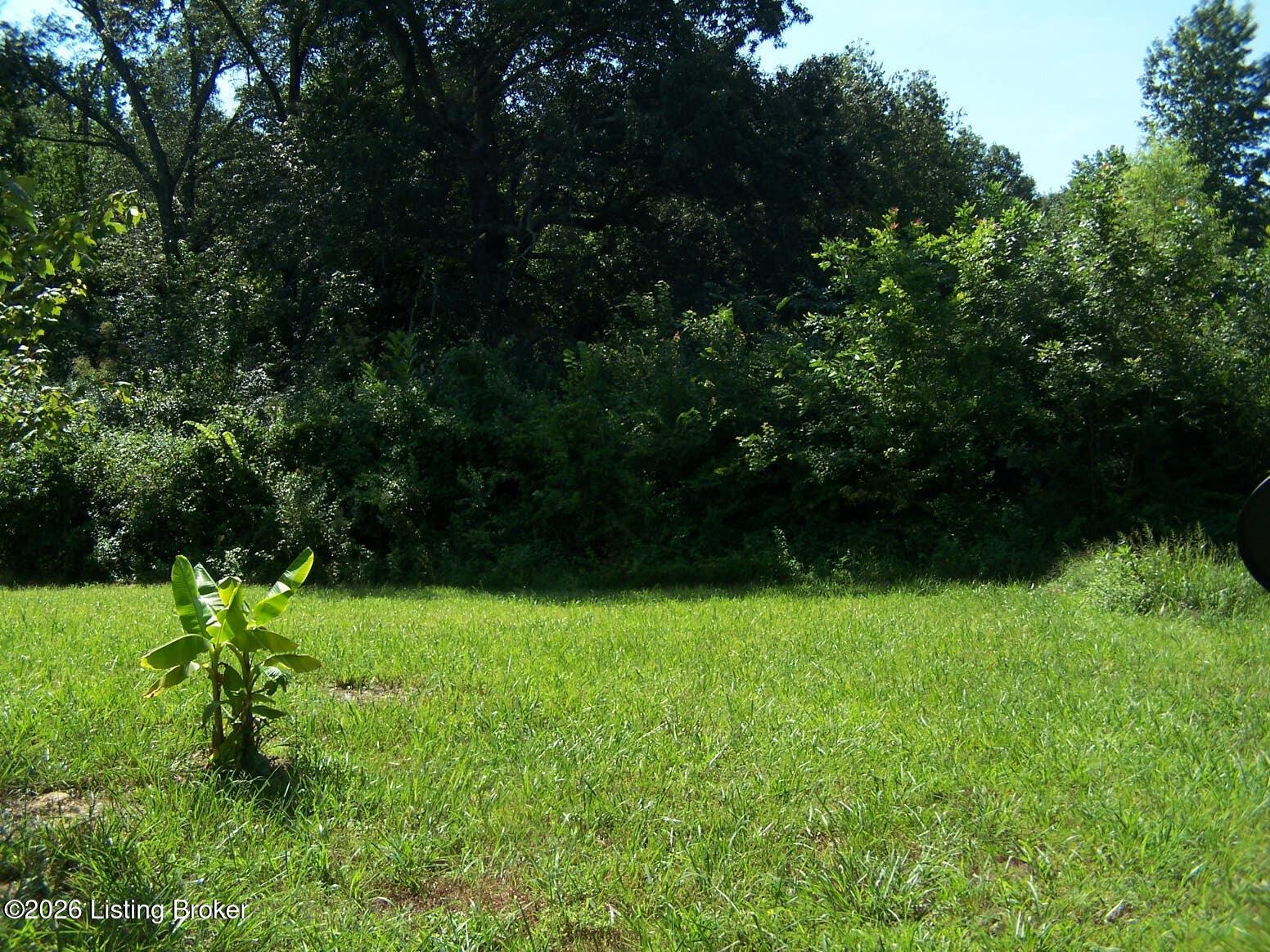 0 Anna Sandhill Road Bowling Green, KY 42101 - Photo 13 of 13 Cleared area at the top of the property perfect for building your new dream home or structure.