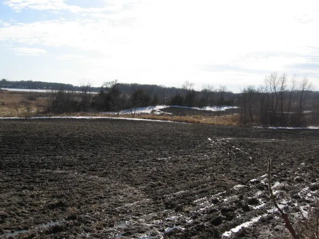 $1,800,000 | 15-xxx 15-xxx Shieldsville Blvd Wells, Faribault, MN 55021