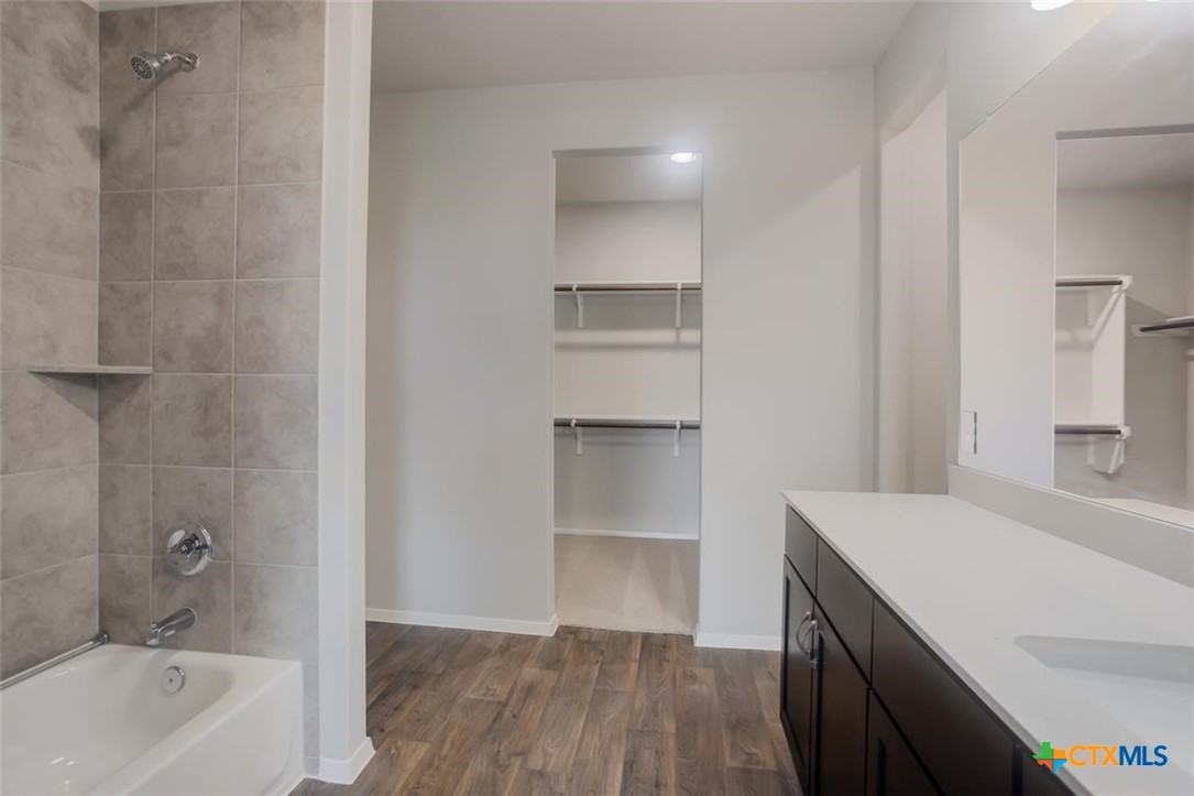2428 Ambling Trail Georgetown, TX 78628 - Photo 15 of 33 a bathroom with a bathtub and a sink