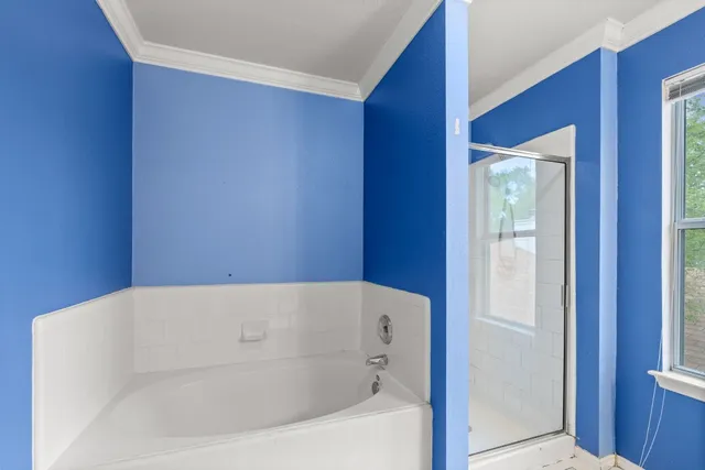 a bathroom with a bathtub