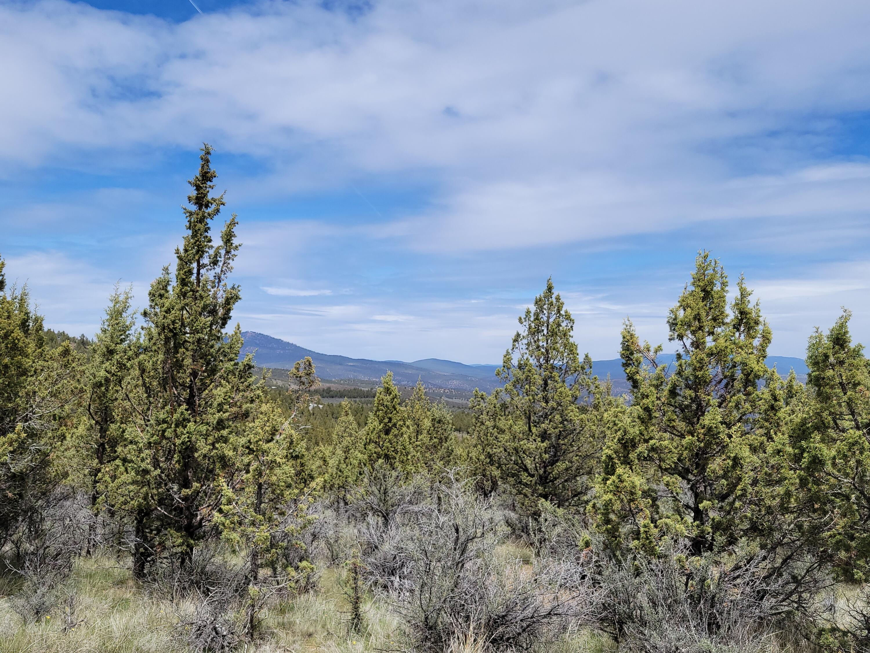 1500 Southeast Osprey Road, Unit 62 Prineville, OR 97754 - Photo 23 of 26 Valley 01