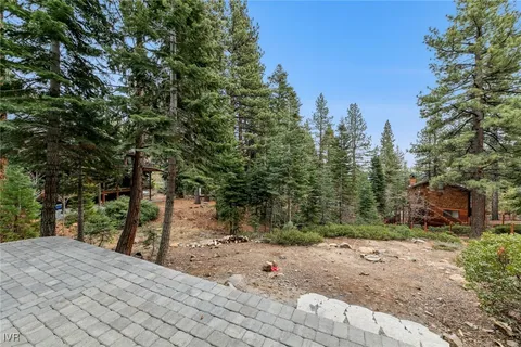 a view of a backyard with trees