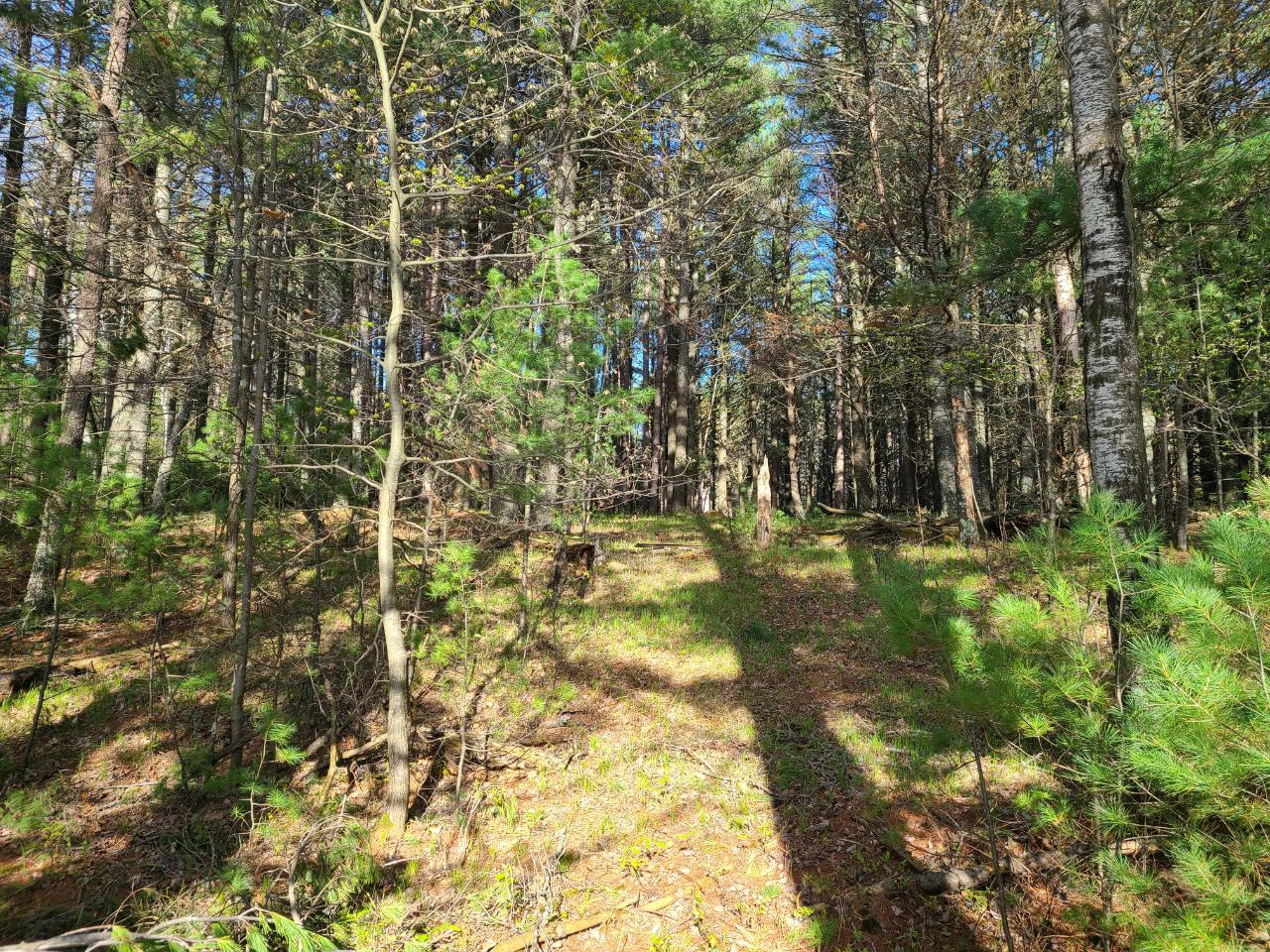 1589 Propwash Bay Road Woodruff, WI 54568 - Photo 5 of 18 Gallery Image 5