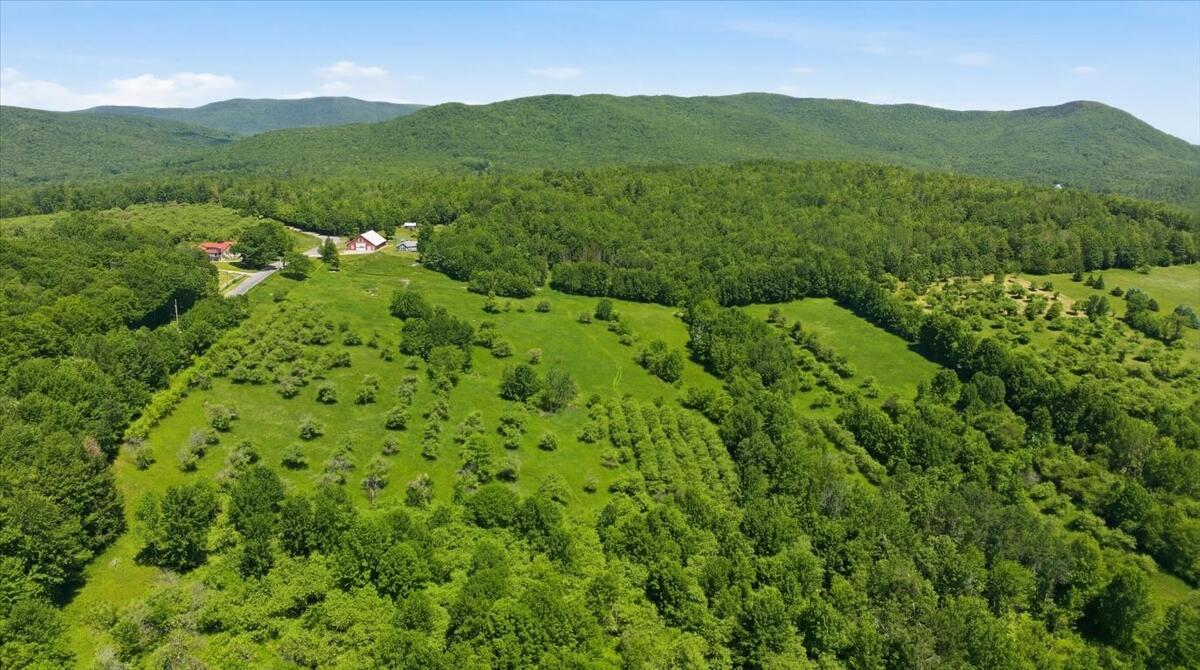 46 Abbott Hill Road West Paris, ME 04289 - Photo 48 of 51 Acreage with apple trees