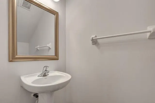 a bathroom with a sink a mirror and a shower