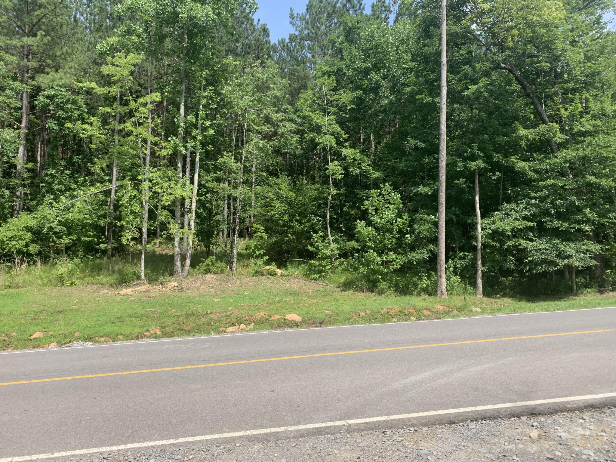 4910 Raulston Falls Drive Jasper, TN 37347 - Photo 4 of 40 a view of a yard and a trees