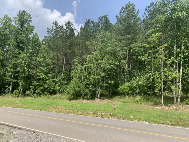 a view of a yard and a houses