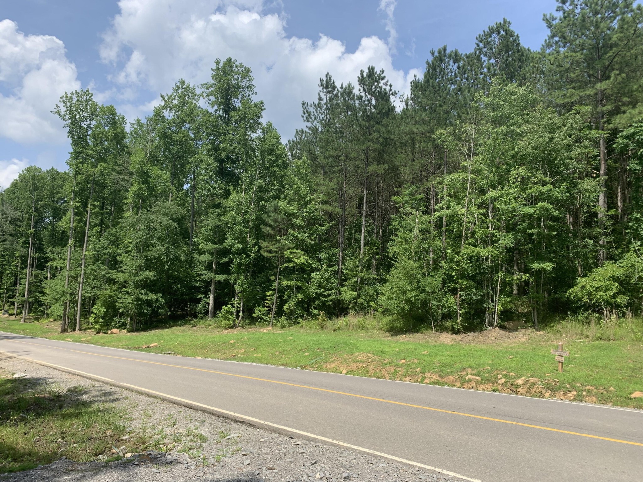 4910 Raulston Falls Drive Jasper, TN 37347 - Photo 8 of 40 a view of a yard and a road