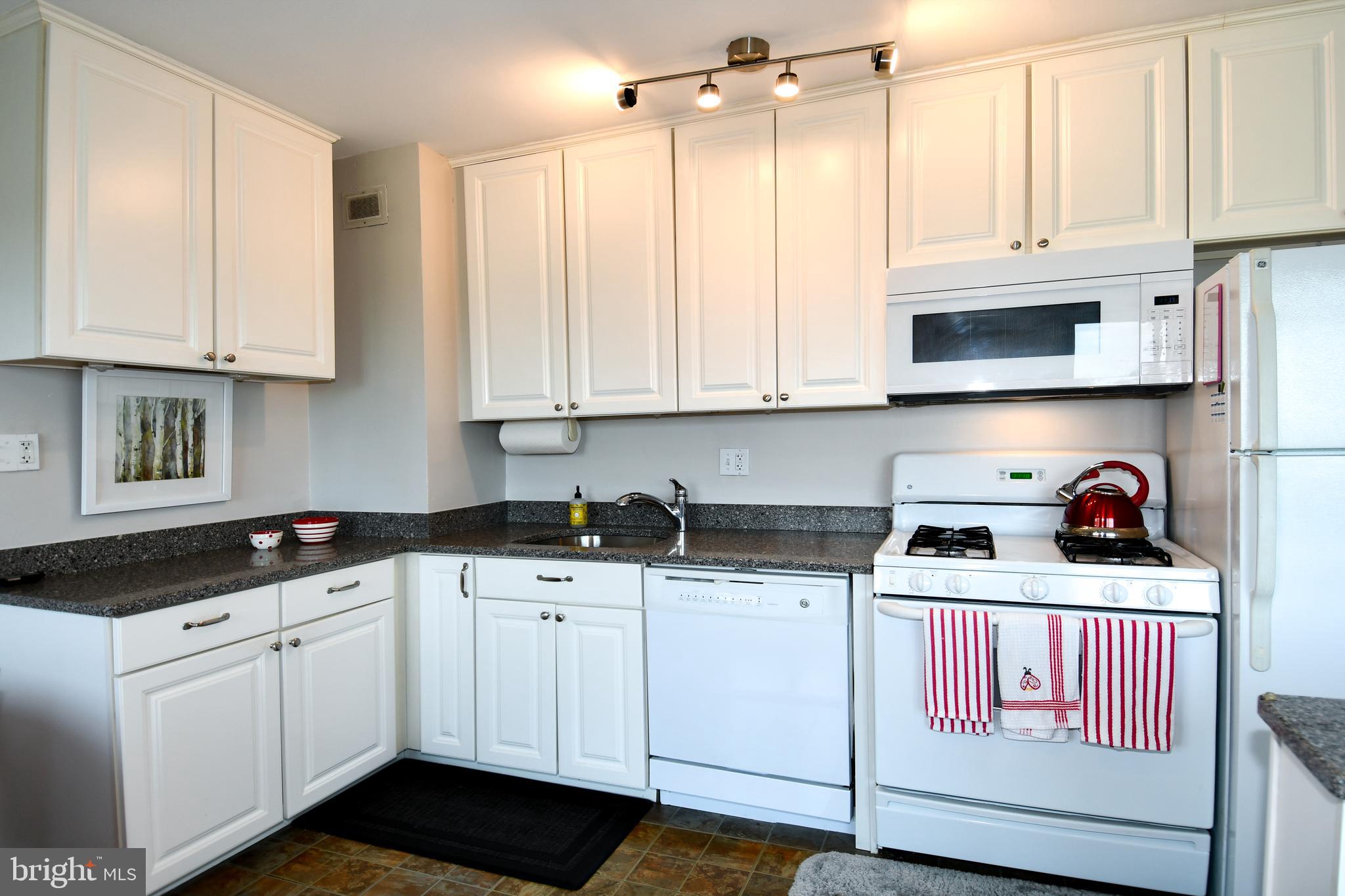 1200 South Arlington Ridge Road, Unit 704 Arlington, VA 22202 - Photo 10 of 30 Kitchen with granite counters