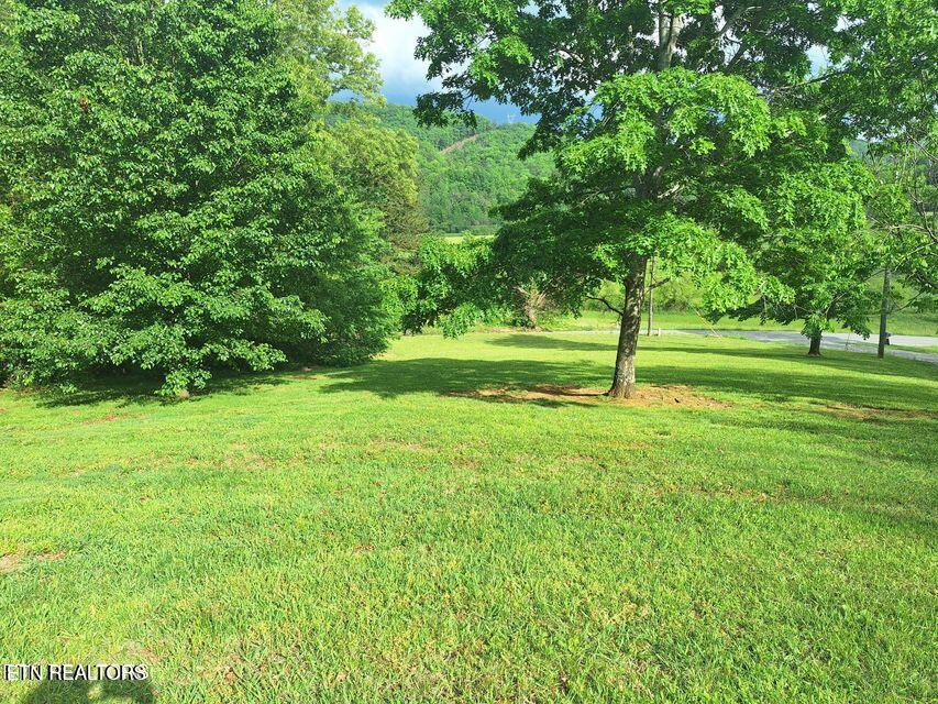 156 Croft Road Tellico Plains, TN 37385 - Photo 3 of 14 3