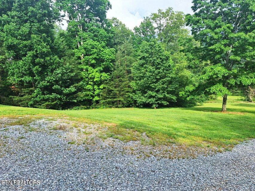 156 Croft Road Tellico Plains, TN 37385 - Photo 4 of 14 4
