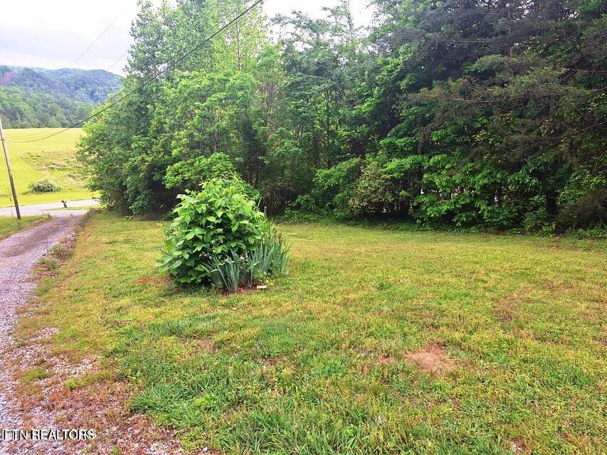 156 Croft Road Tellico Plains, TN 37385 - Photo 5 of 14 5