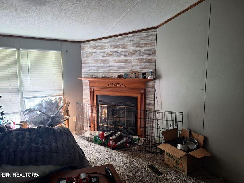 156 Croft Road Tellico Plains, TN 37385 - Photo 6 of 14 6