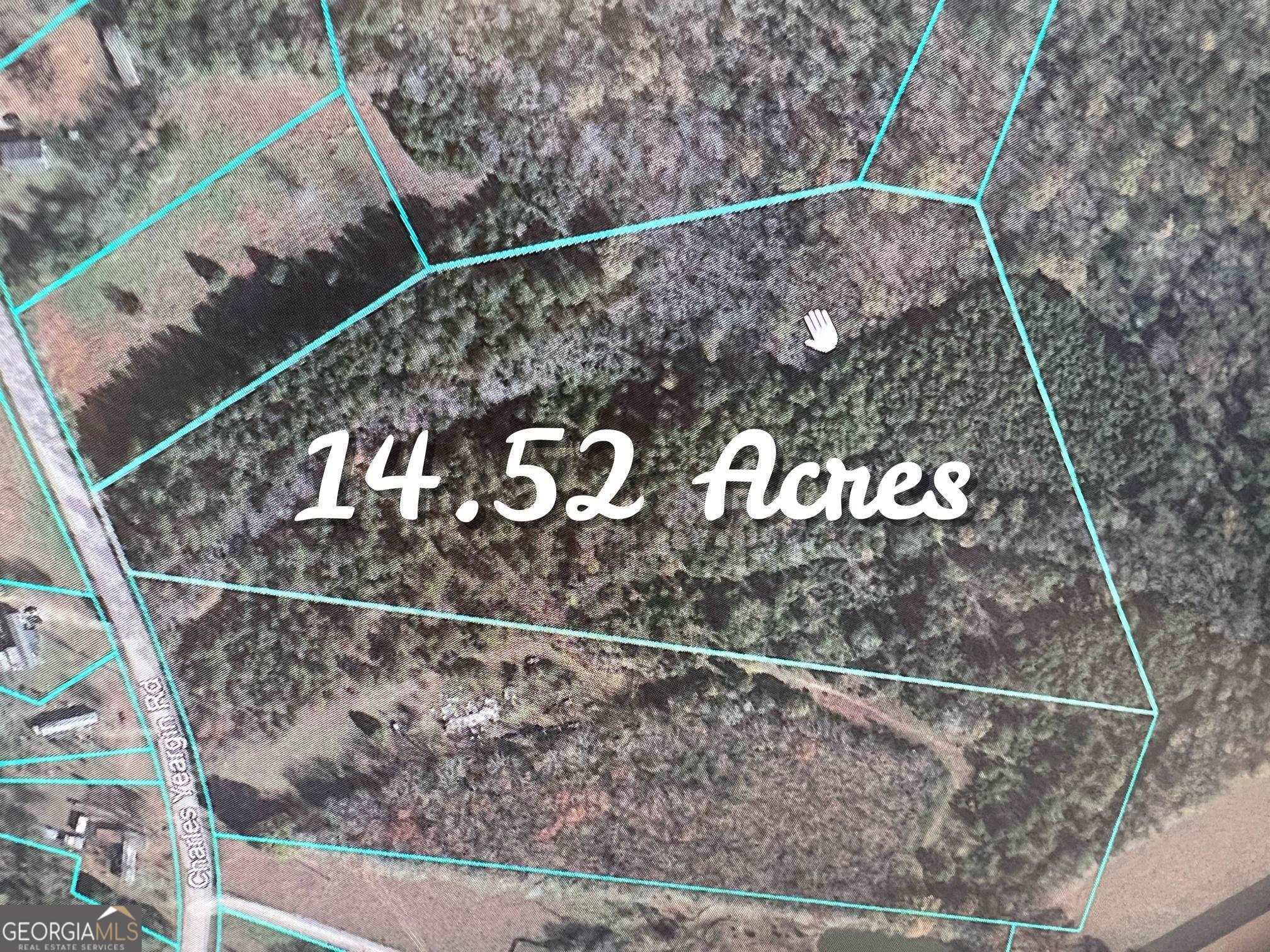 0 Charles Yeargin Road Elberton, GA 30635 - Photo 1 of 1