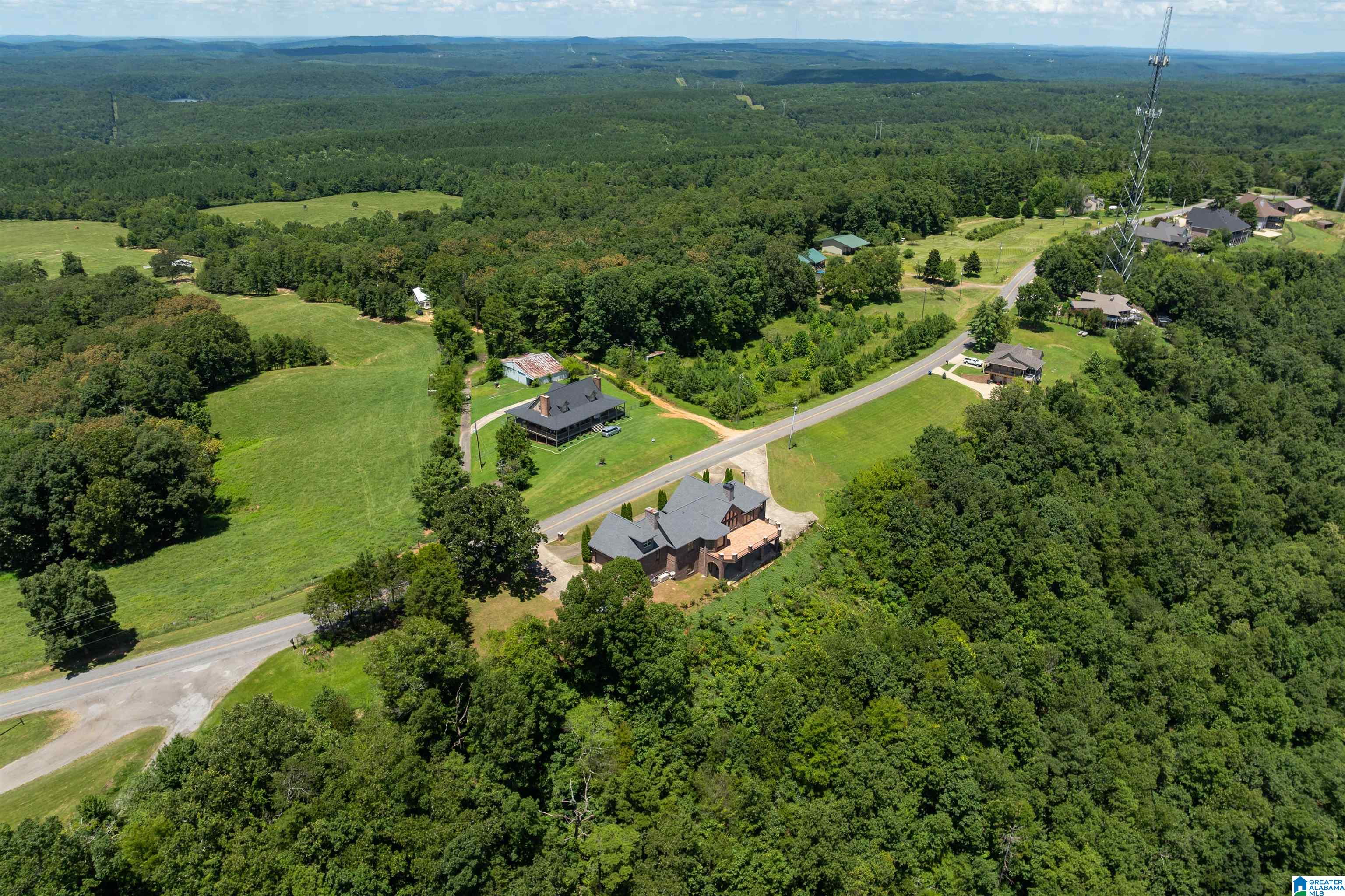 8378 Pine Mountain Road Springville, AL 35146 - Photo 58 of 59