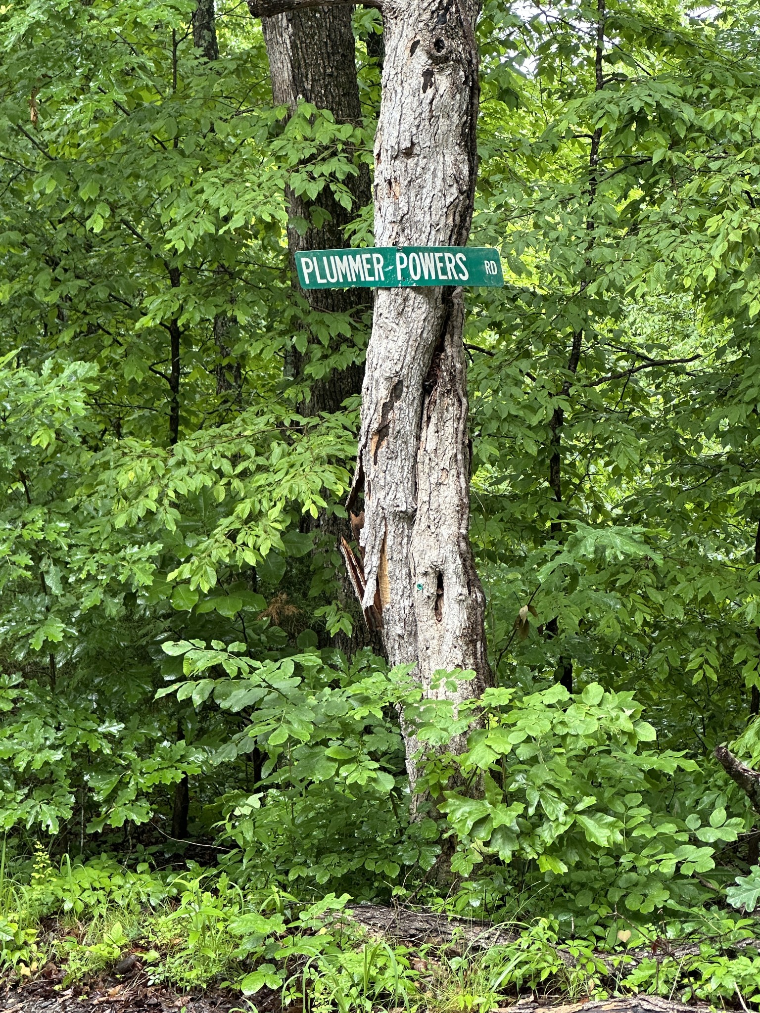 0 Gunson Ridge Road Cumberland City, TN 37050 - Photo 3 of 3