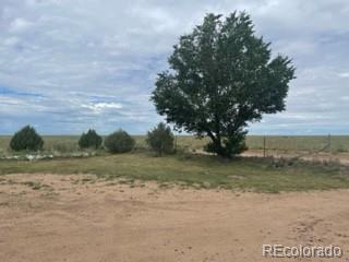 8246 Manitou Springs Road Blanca, CO 81123 - Photo 6 of 24 a view of a field with trees