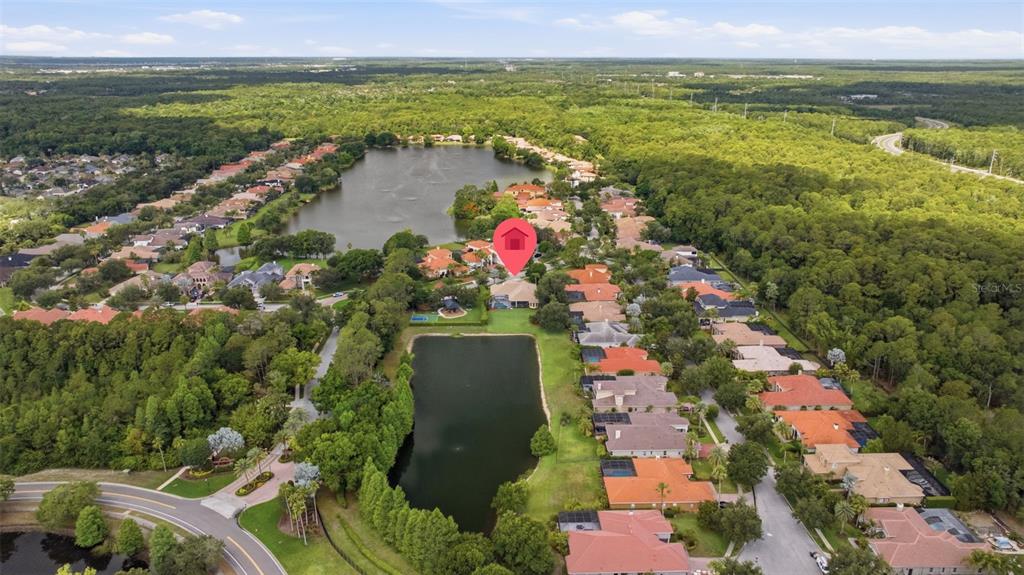 9409 Tree Tops Lake Road Tampa, FL 33626 - Photo 88 of 97