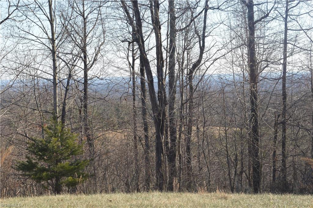 3138 Garrett Road Stoneville, NC 27048 - Photo 21 of 25 Gallery Image 21