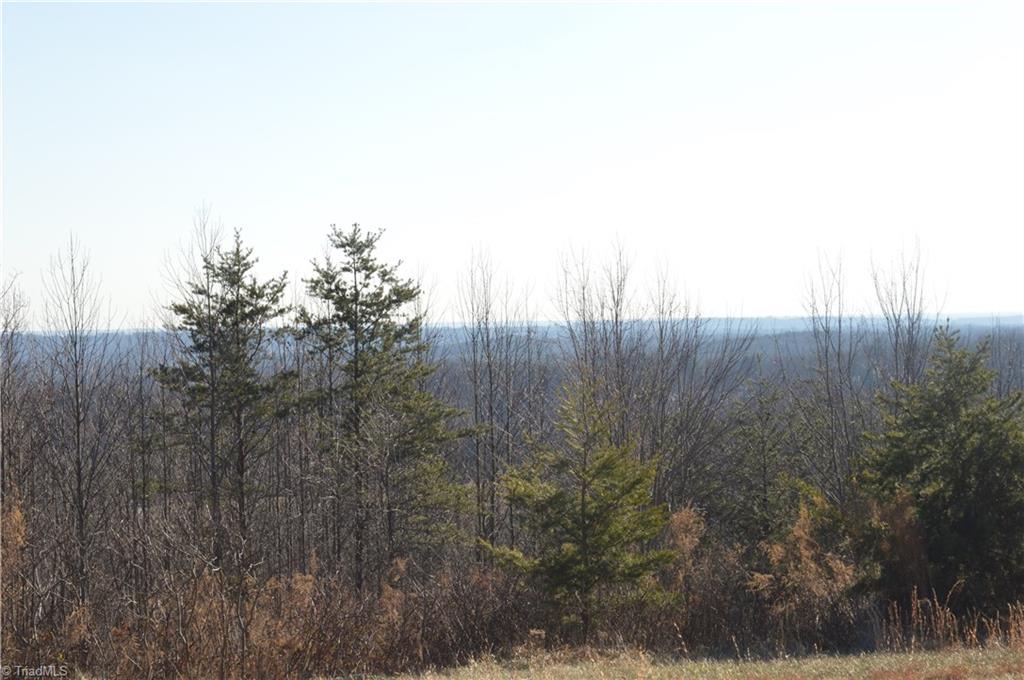 3138 Garrett Road Stoneville, NC 27048 - Photo 22 of 25 Gallery Image 22